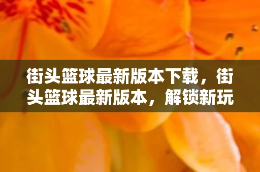 街头篮球最新版本下载,街头篮球最新版本,解锁新玩法,挑战极限 街头篮球最新版本下载,街头篮球最新版本,解锁新玩法,挑战极限