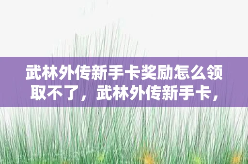 武林外传新手卡奖励怎么领取不了，武林外传新手卡，解锁你的江湖之旅