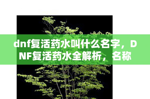dnf复活药水叫什么名字,DNF复活药水全解析,名称、作用与获取途径 dnf复活药水叫什么名字,DNF复活药水全解析,名称、作用与获取途径