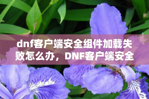 dnf客户端安全组件加载失败怎么办,DNF客户端安全组件加载失败,原因分析与解决策略 dnf客户端安全组件加载失败怎么办,DNF客户端安全组件加载失败,原因分析与解决策略