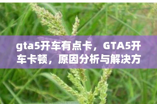 gta5开车有点卡，GTA5开车卡顿，原因分析与解决方案