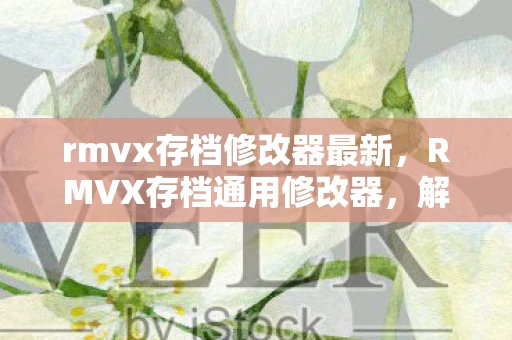 rmvx存档修改器最新，RMVX存档通用修改器，解锁游戏世界的无限可能