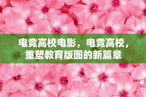 电竞高校电影,电竞高校,重塑教育版图的新篇章 电竞高校电影,电竞高校,重塑教育版图的新篇章