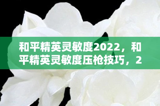 和平精英灵敏度2022,和平精英灵敏度压枪技巧,2021年最稳设置指南 和平精英灵敏度2022,和平精英灵敏度压枪技巧,2021年最稳设置指南