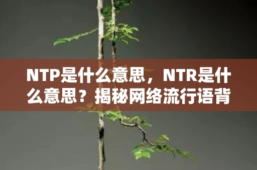 NTP是什么意思，NTR是什么意思？揭秘网络流行语背后的文化现象