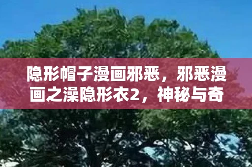 隐形帽子漫画邪恶，邪恶漫画之澡隐形衣2，神秘与奇幻的交织