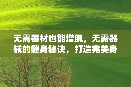 无需器材也能增肌,无需器械的健身秘诀,打造完美身材,从日常开始 无需器材也能增肌,无需器械的健身秘诀,打造完美身材,从日常开始
