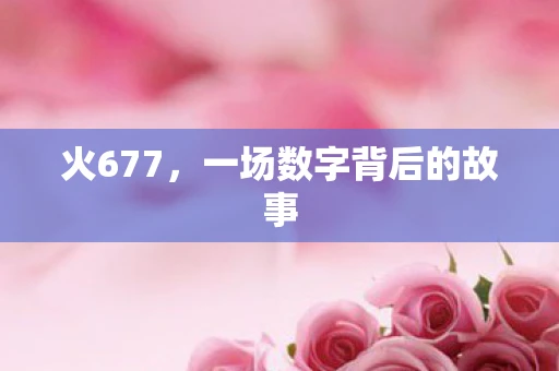 火677,一场数字背后的故事 火677,一场数字背后的故事