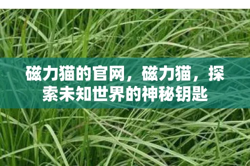 磁力猫的官网,磁力猫,探索未知世界的神秘钥匙 磁力猫的官网,磁力猫,探索未知世界的神秘钥匙