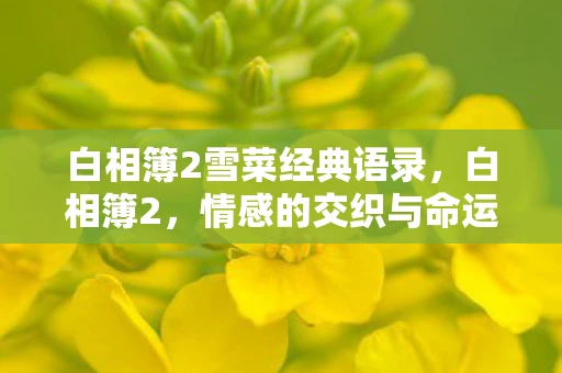 白相簿2雪菜经典语录，白相簿2，情感的交织与命运的抉择