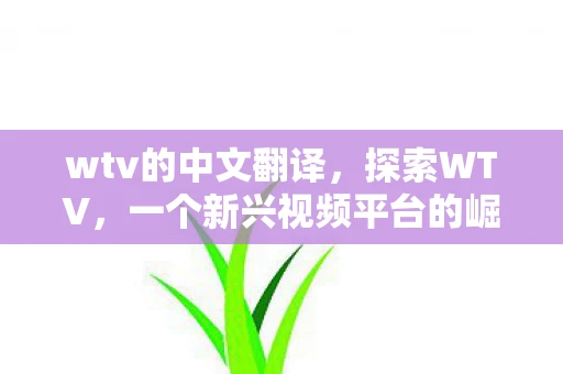wtv的中文翻译，探索WTV，一个新兴视频平台的崛起与影响