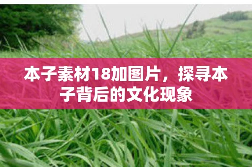 本子素材18加图片,探寻本子背后的文化现象 本子素材18加图片,探寻本子背后的文化现象