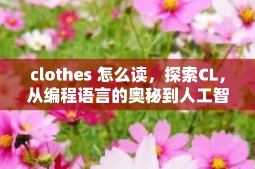 clothes 怎么读，探索CL，从编程语言的奥秘到人工智能的边界