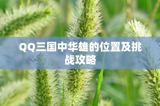 QQ三国中华雄的位置及挑战攻略图片