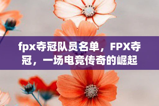fpx夺冠队员名单，FPX夺冠，一场电竞传奇的崛起
