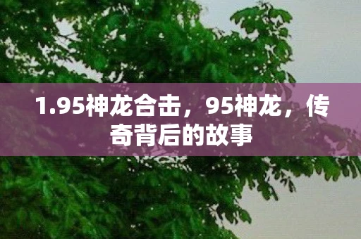 1.95神龙合击,95神龙,传奇背后的故事 1.95神龙合击,95神龙,传奇背后的故事