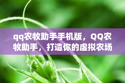 qq农牧助手手机版，QQ农牧助手，打造你的虚拟农场，享受田园乐趣