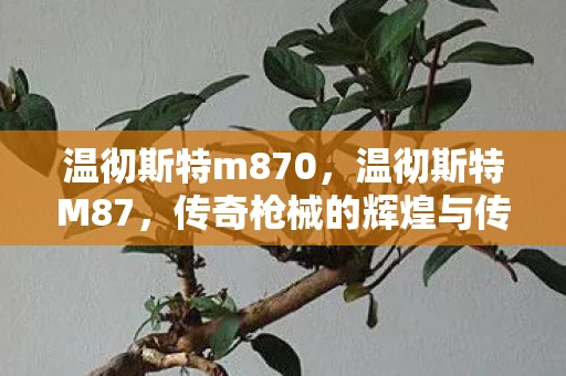 温彻斯特m870，温彻斯特M87，传奇枪械的辉煌与传奇