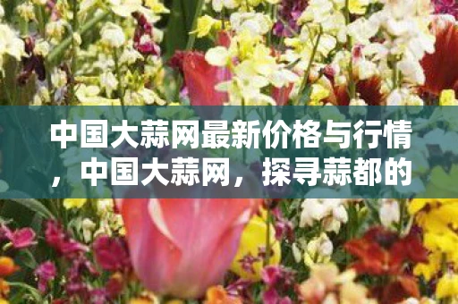中国大蒜网最新价格与行情，中国大蒜网，探寻蒜都的奥秘