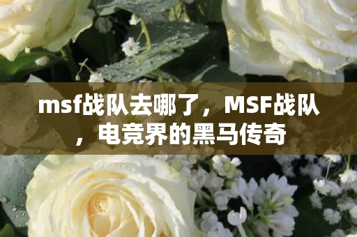 msf战队去哪了,MSF战队,电竞界的黑马传奇 msf战队去哪了,MSF战队,电竞界的黑马传奇
