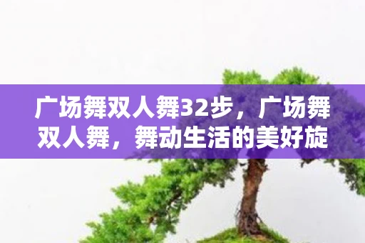 广场舞双人舞32步，广场舞双人舞，舞动生活的美好旋律