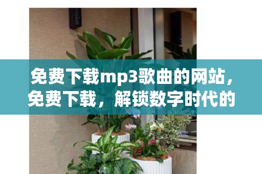 免费下载mp3歌曲的网站，免费下载，解锁数字时代的无限可能