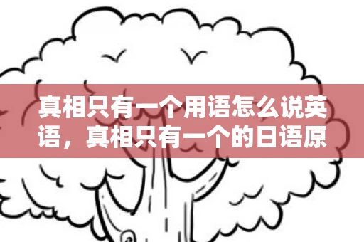 真相只有一个用语怎么说英语，真相只有一个的日语原句及文化解读