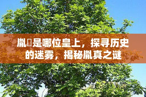 胤禛是哪位皇上，探寻历史的迷雾，揭秘胤真之谜