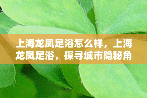 上海龙凤足浴怎么样，上海龙凤足浴，探寻城市隐秘角落的养生之道