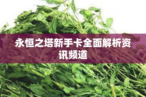 永恒之塔新手卡全面解析资讯频道图片