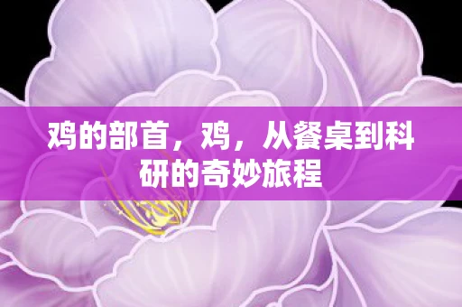 鸡的部首，鸡，从餐桌到科研的奇妙旅程