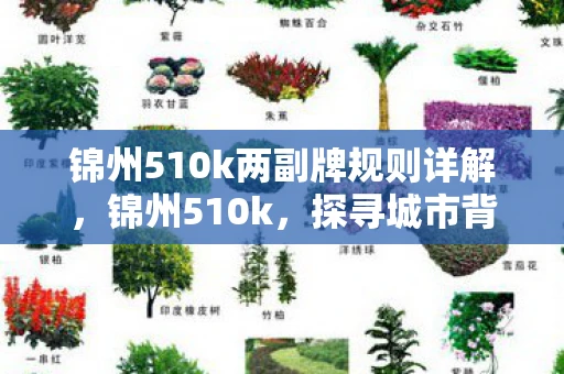 锦州510k两副牌规则详解，锦州510k，探寻城市背后的故事