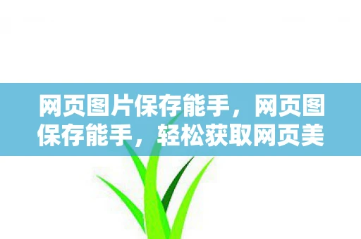 网页图片保存能手,网页图保存能手,轻松获取网页美图,打造个人收藏夹 网页图片保存能手,网页图保存能手,轻松获取网页美图,打造个人收藏夹