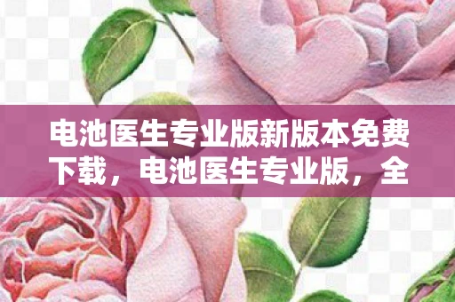 电池医生专业版新版本免费下载，电池医生专业版，全面解析与实用指南