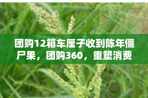 团购12箱车厘子收到陈年僵尸果，团购360，重塑消费模式的创新力量