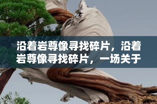 沿着岩尊像寻找碎片，沿着岩尊像寻找碎片，一场关于历史与文化的探索之旅