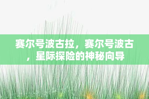 赛尔号波古拉，赛尔号波古，星际探险的神秘向导