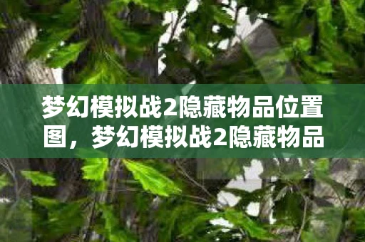 梦幻模拟战2隐藏物品位置图，梦幻模拟战2隐藏物品全揭秘