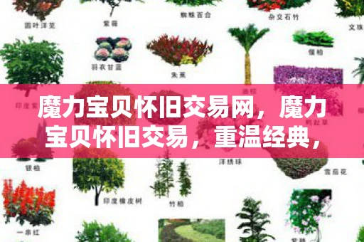 魔力宝贝怀旧交易网,魔力宝贝怀旧交易,重温经典,找回那些年的感动 魔力宝贝怀旧交易网,魔力宝贝怀旧交易,重温经典,找回那些年的感动