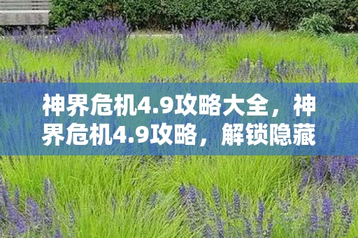 神界危机4.9攻略大全，神界危机4.9攻略，解锁隐藏关卡，提升战力，轻松通关