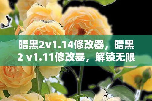 暗黑2v1.14修改器，暗黑2 v1.11修改器，解锁无限可能的秘密武器