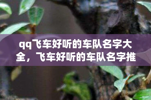 qq飞车好听的车队名字大全,飞车好听的车队名字推荐 qq飞车好听的车队名字大全,飞车好听的车队名字推荐