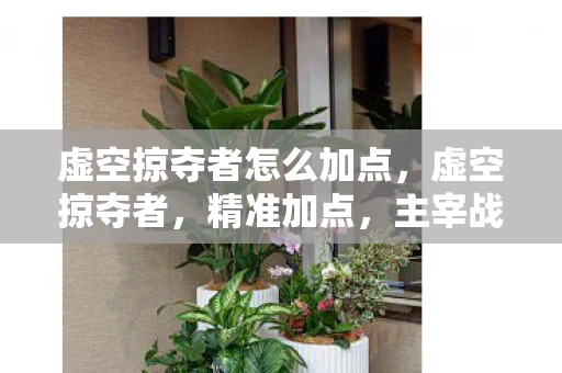 虚空掠夺者怎么加点，虚空掠夺者，精准加点，主宰战场的艺术