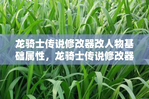 龙骑士传说修改器改人物基础属性，龙骑士传说修改器，解锁无限可能的冒险之旅