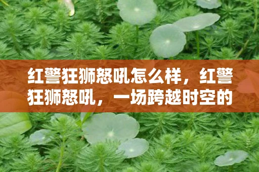 红警狂狮怒吼怎么样，红警狂狮怒吼，一场跨越时空的军事盛宴