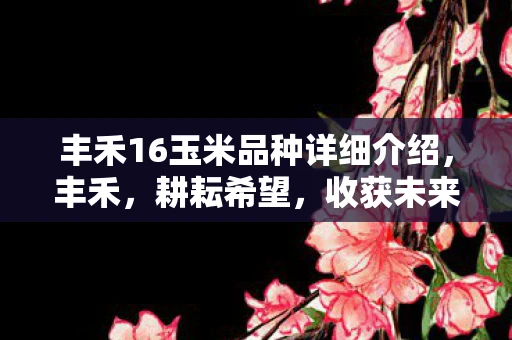 丰禾16玉米品种详细介绍，丰禾，耕耘希望，收获未来