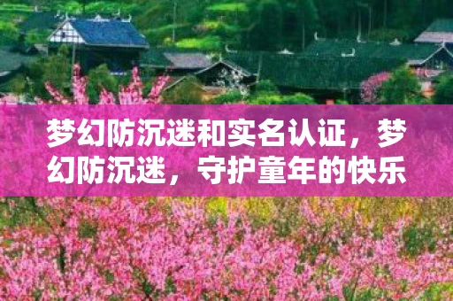 梦幻防沉迷和实名认证，梦幻防沉迷，守护童年的快乐与成长