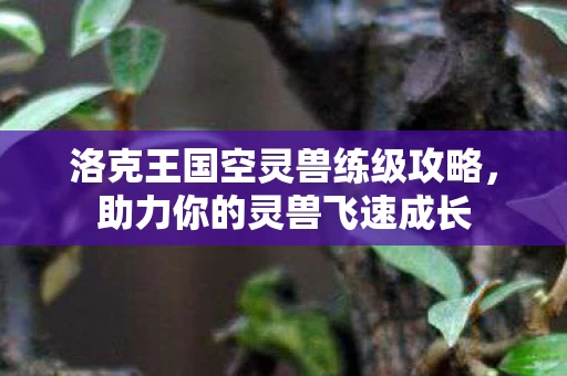 洛克王国空灵兽练级攻略图片