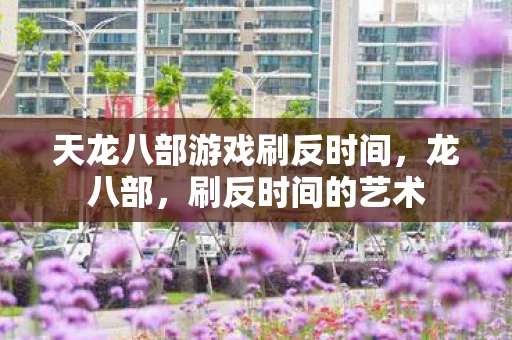 天龙八部游戏刷反时间，龙八部，刷反时间的艺术