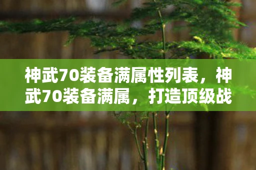 神武70装备满属性列表，神武70装备满属，打造顶级战斗力的关键